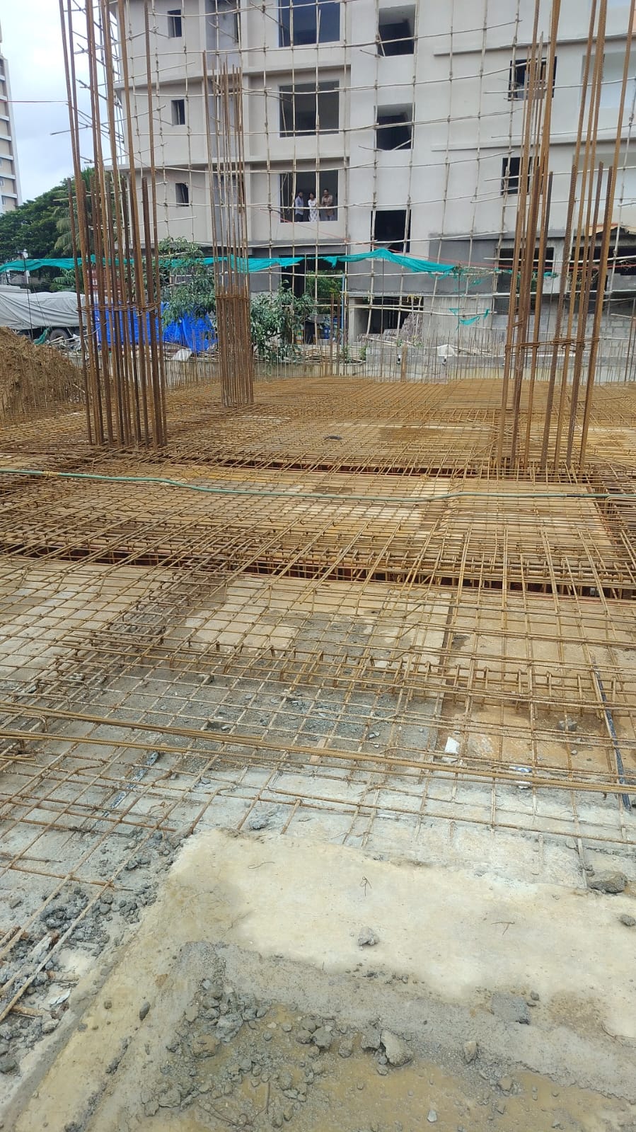 Opus One-Project-Status