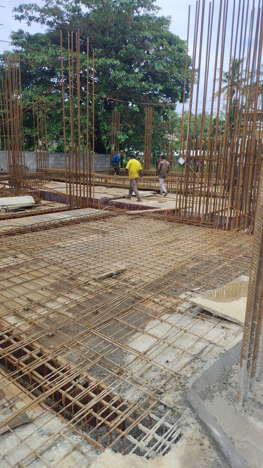 Opus One-Project-Status