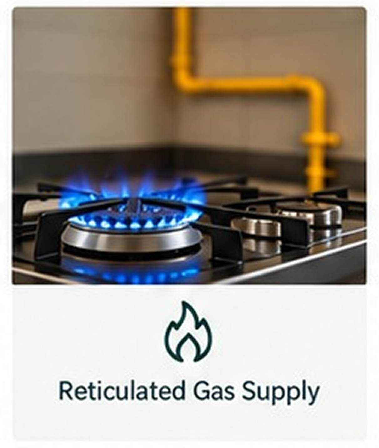 Reticulated Gas Supply